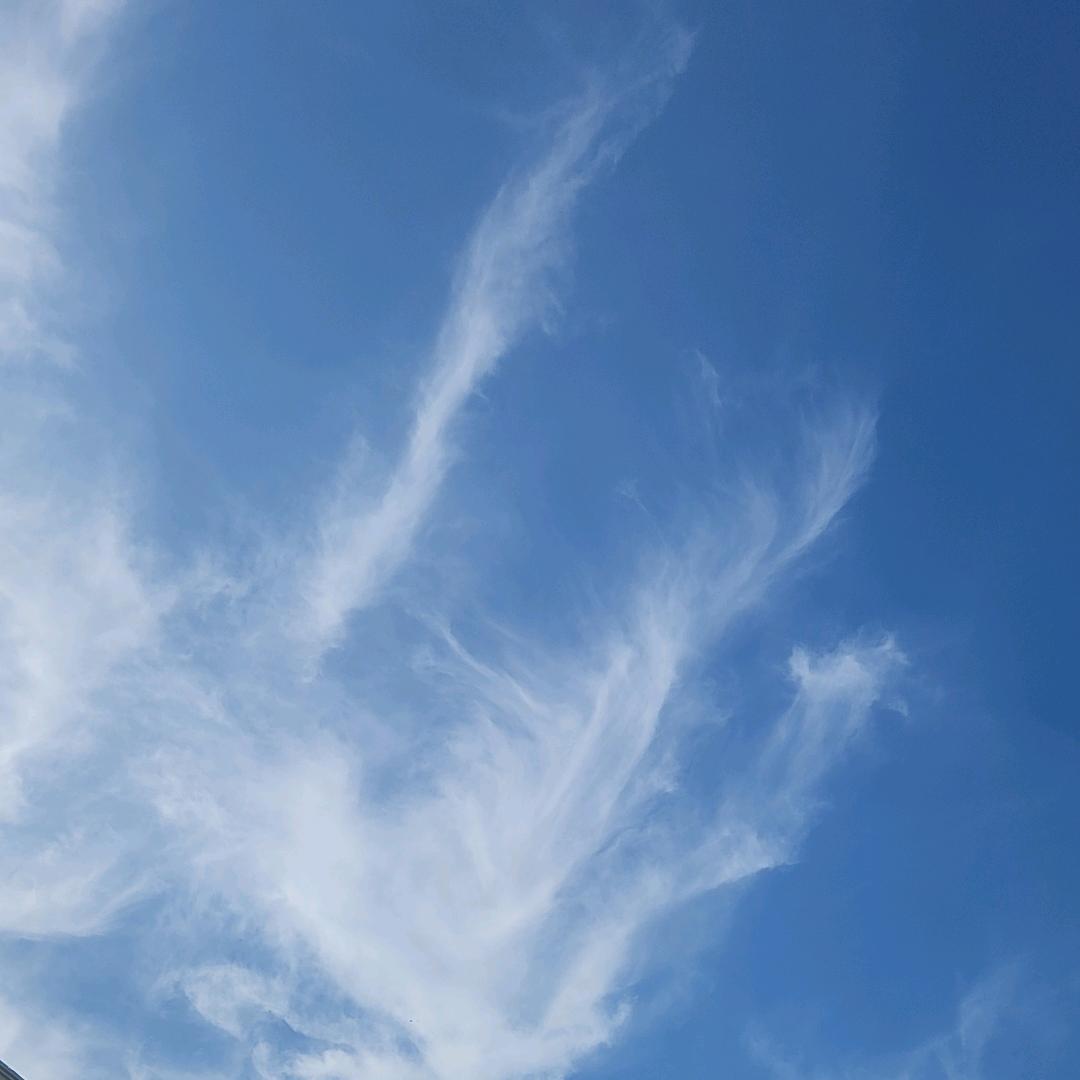 蓝天