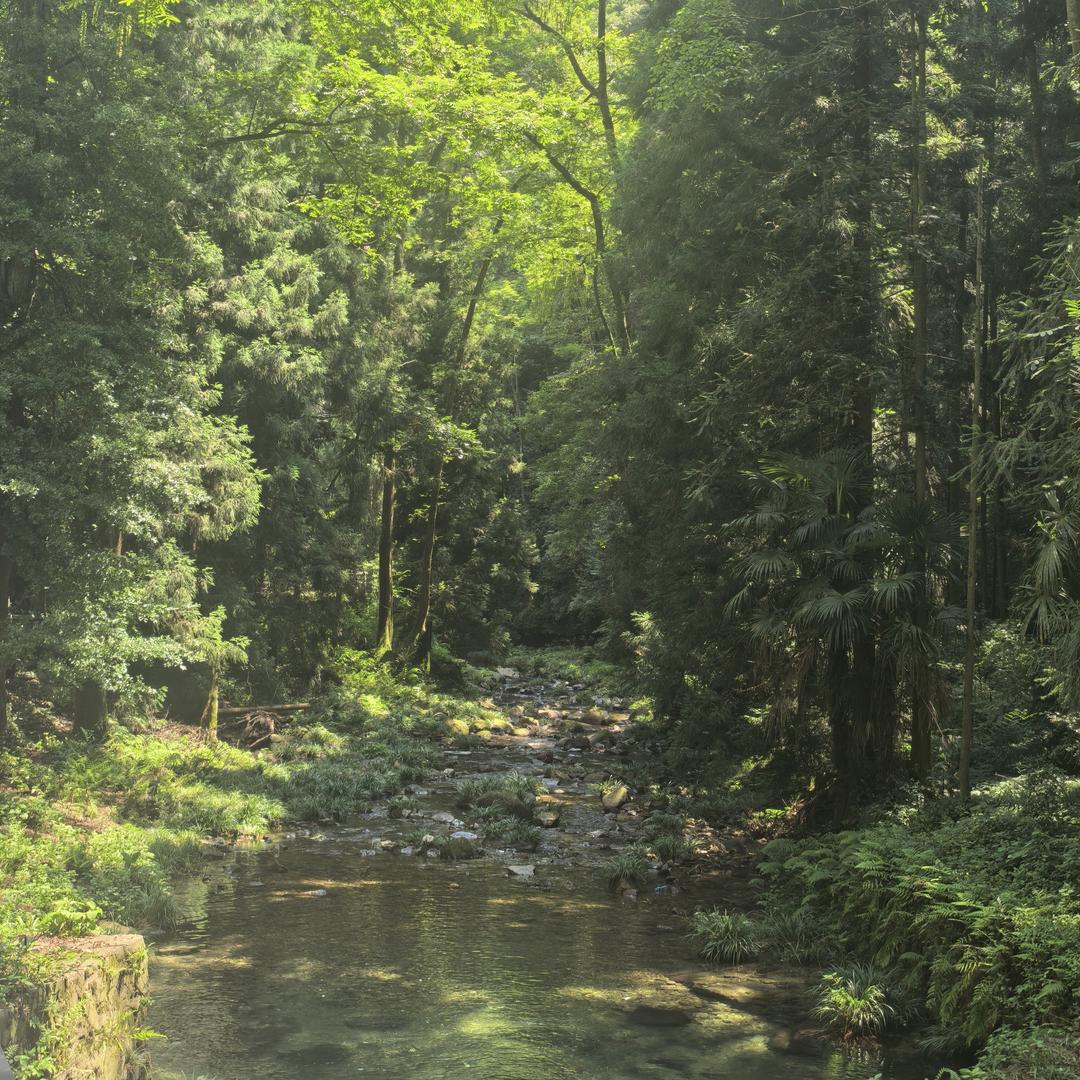 财神爷爷心尖上的人