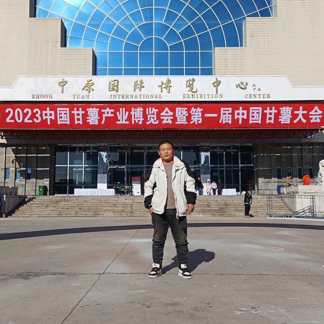 山东烟薯25产地直供✔杨涛