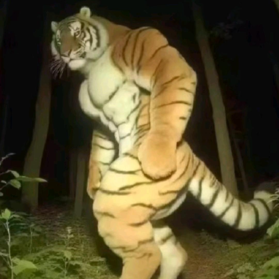 安能摧眉折腰事权贵，使我不得开心颜！