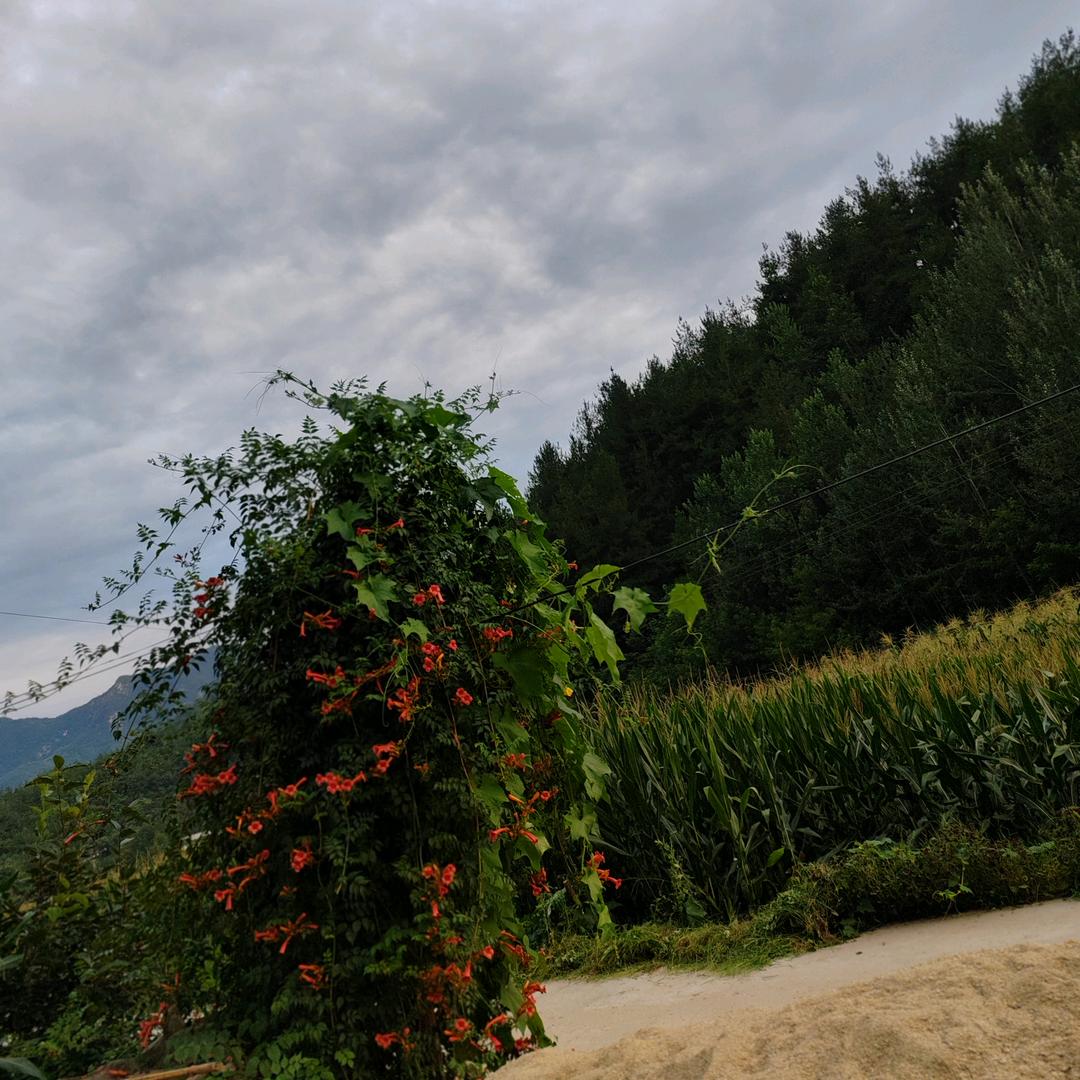 淺陌初心【拒绝私聊】