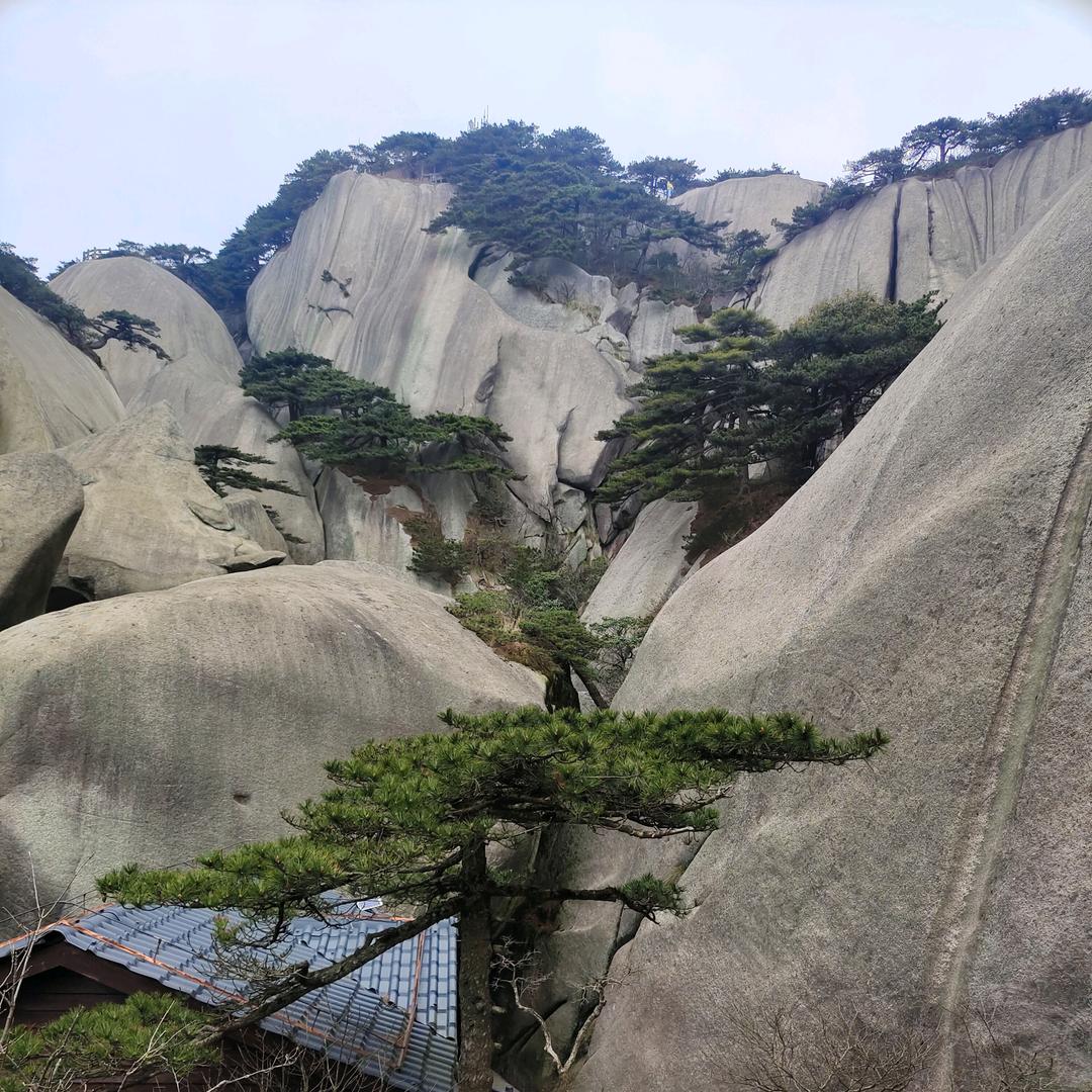独一无二