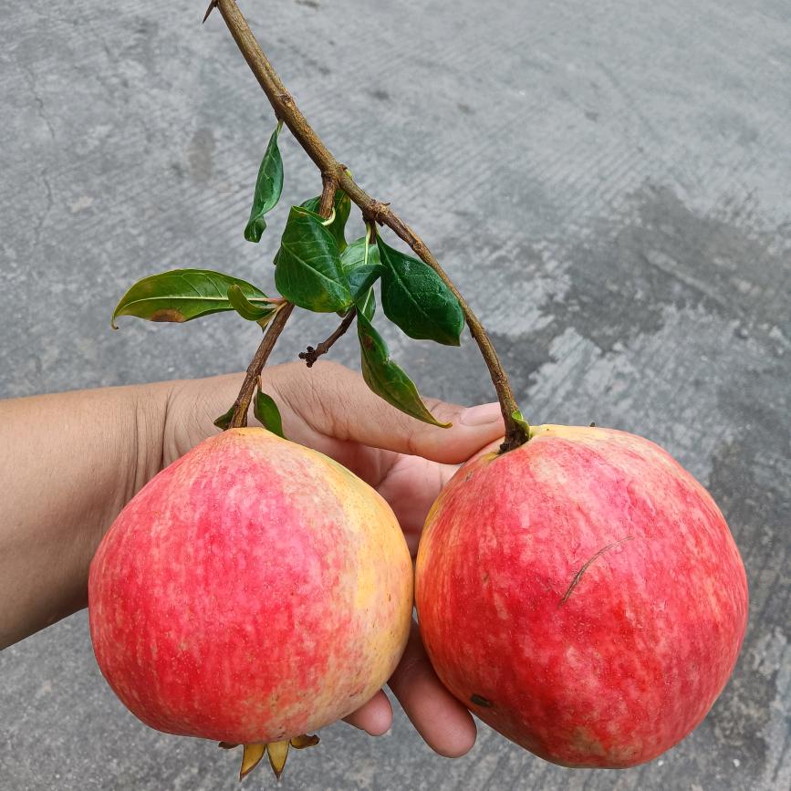 困难的农民群众