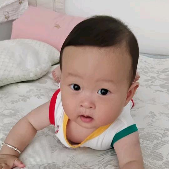 光头金哥