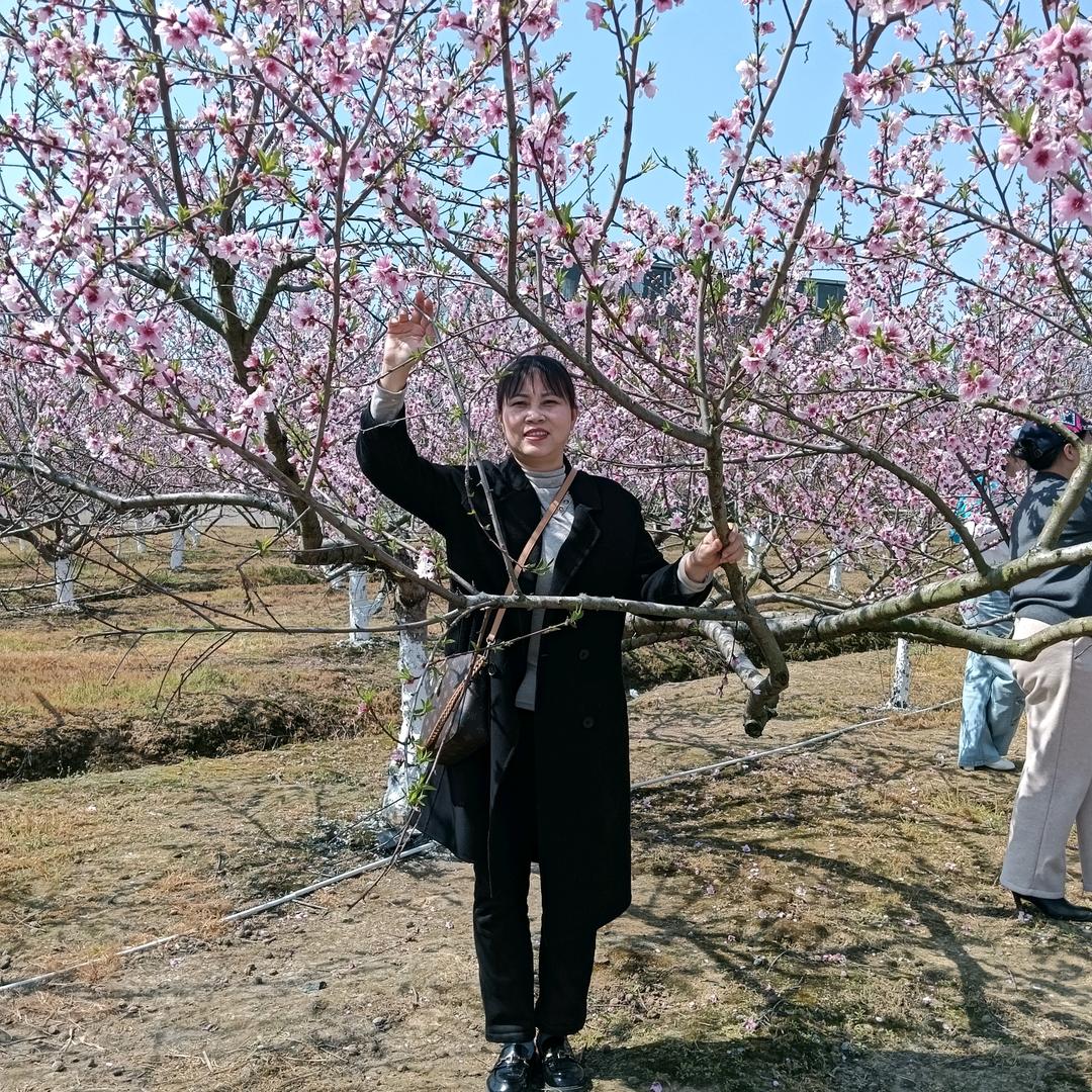 沅江开源房产-希辉