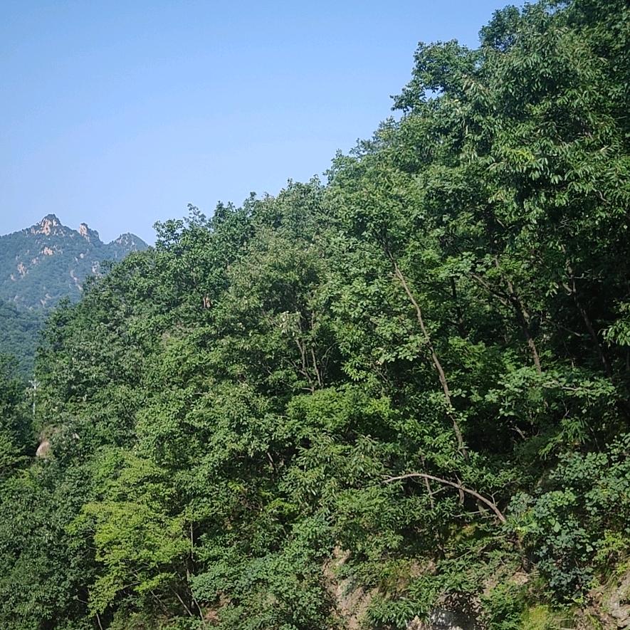 蕲春县四海工贸部(齐昌大道电力街店)fawefawehweha