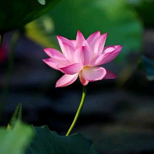 曹艾堂亚健康调理