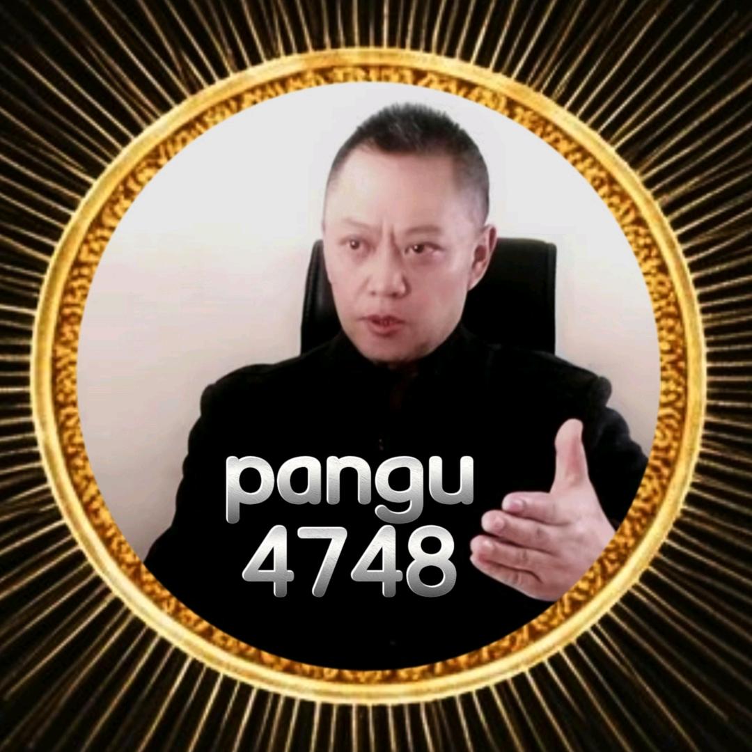 盘古易藏