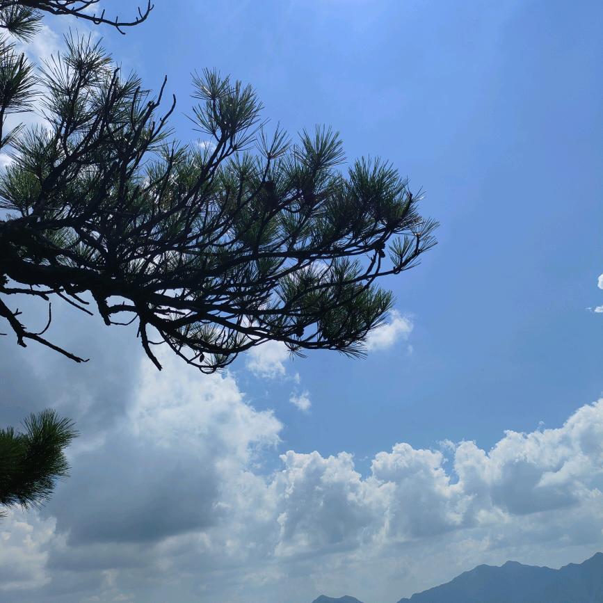 山水行者