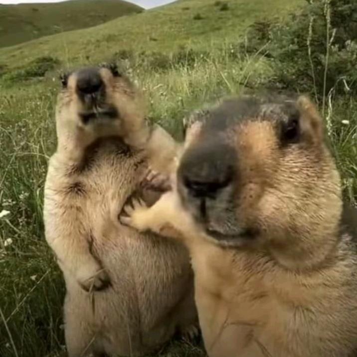 RRR