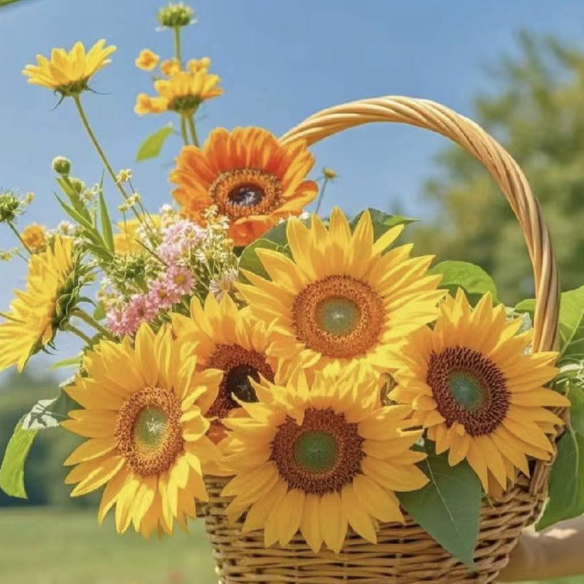 三人民医院国宴油条