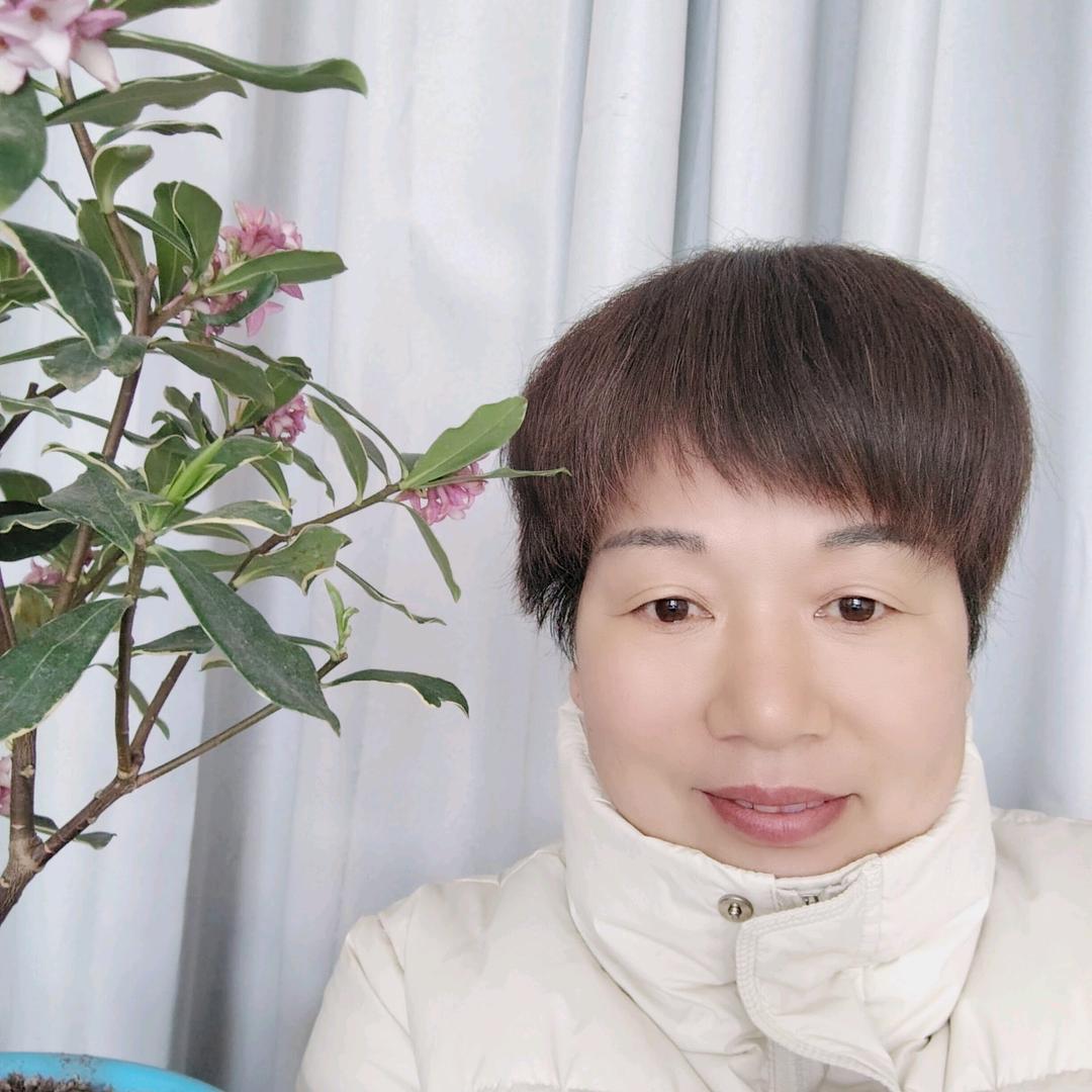 芳芳姐