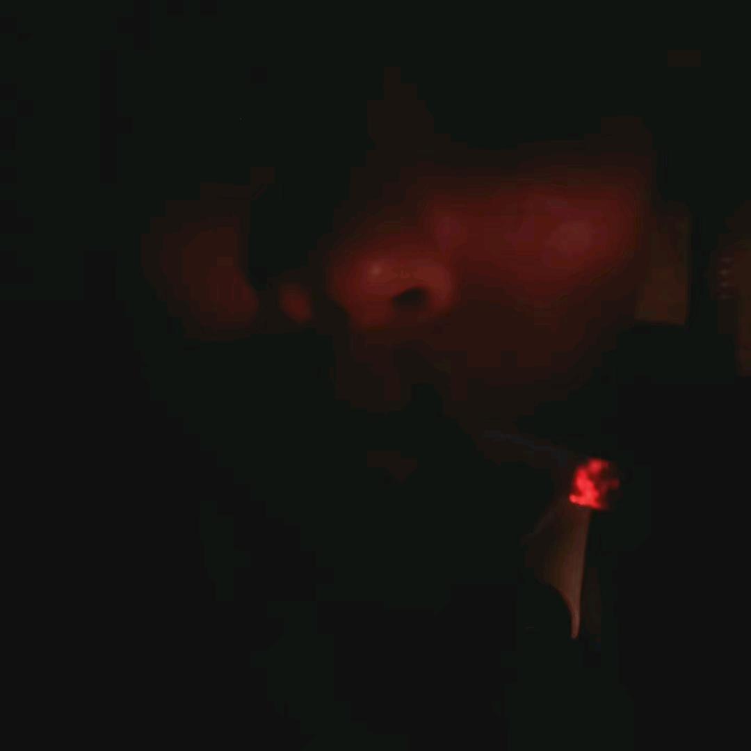 红色烈鸟