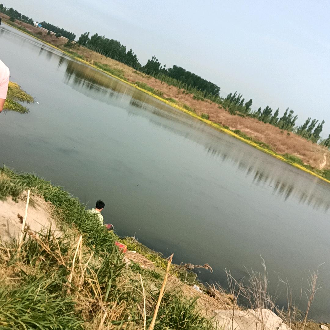 户外张