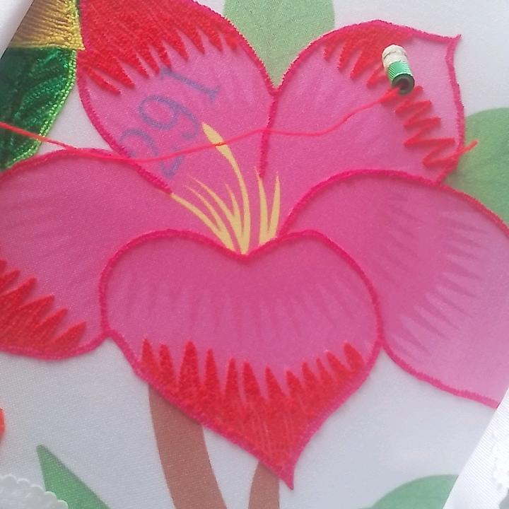 认生
