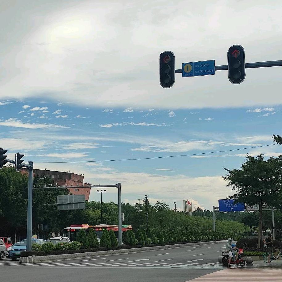 大湾区密探零零狗