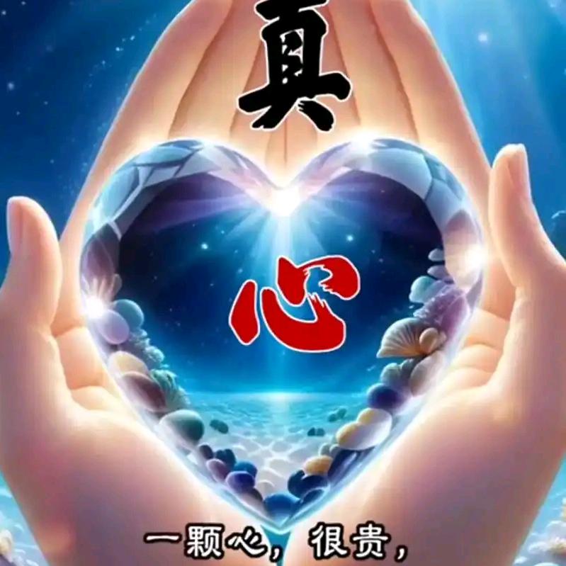 《真心真意》