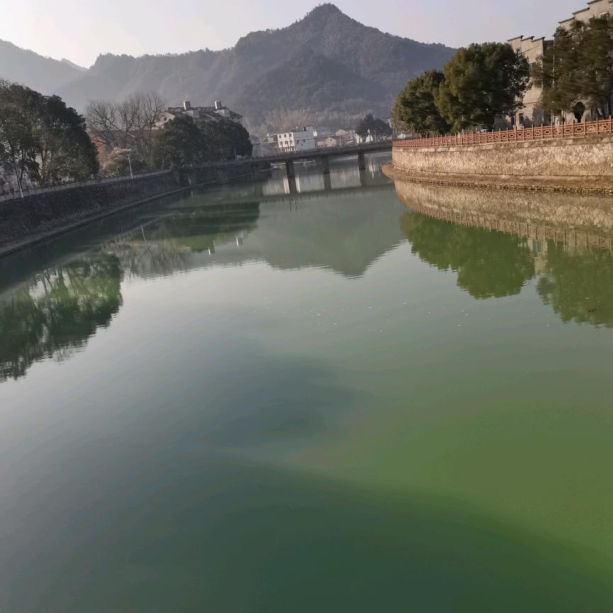 那年匆匆