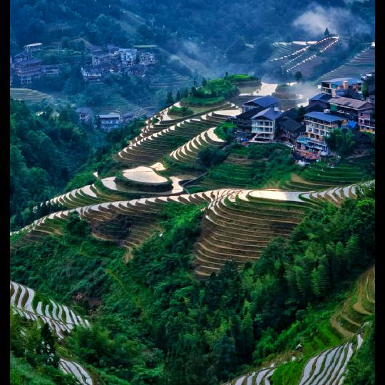 青春有你真好（赵钰洁）头像
