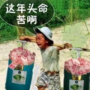 🌈青春如诗你如画