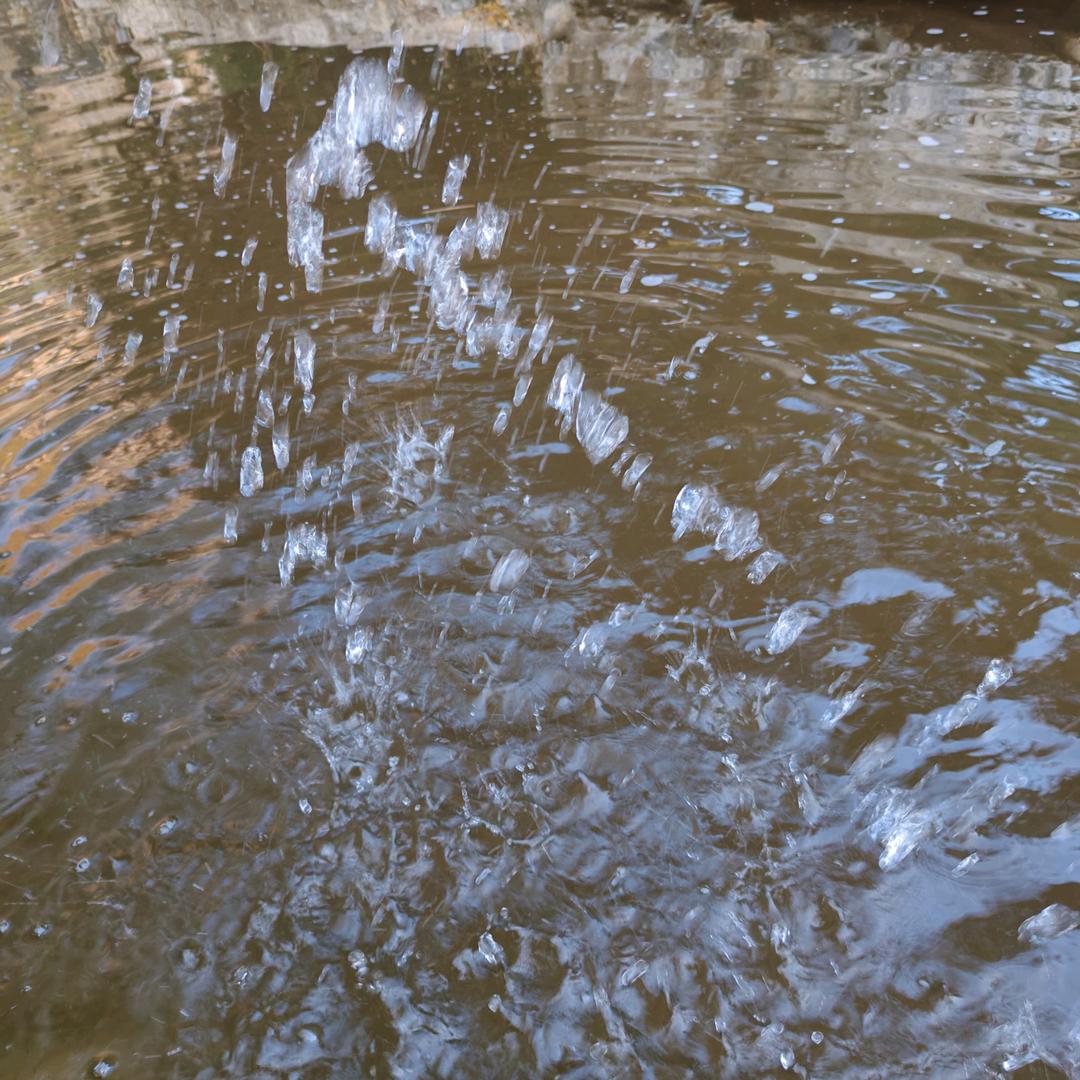 ༺᭨ᮩ如愿💕ꦿ᭄