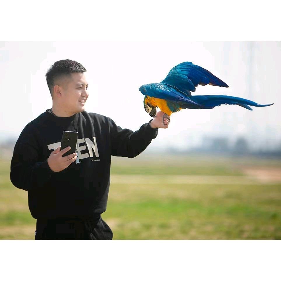 鹦鹉超人馆