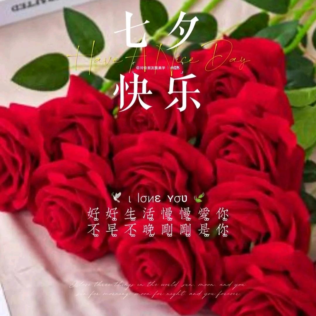 幸运草