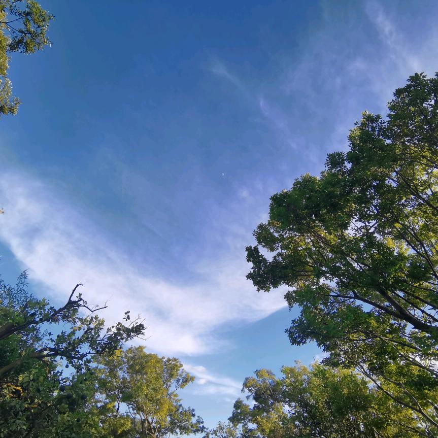 不是洗地毯就是修牛蹄