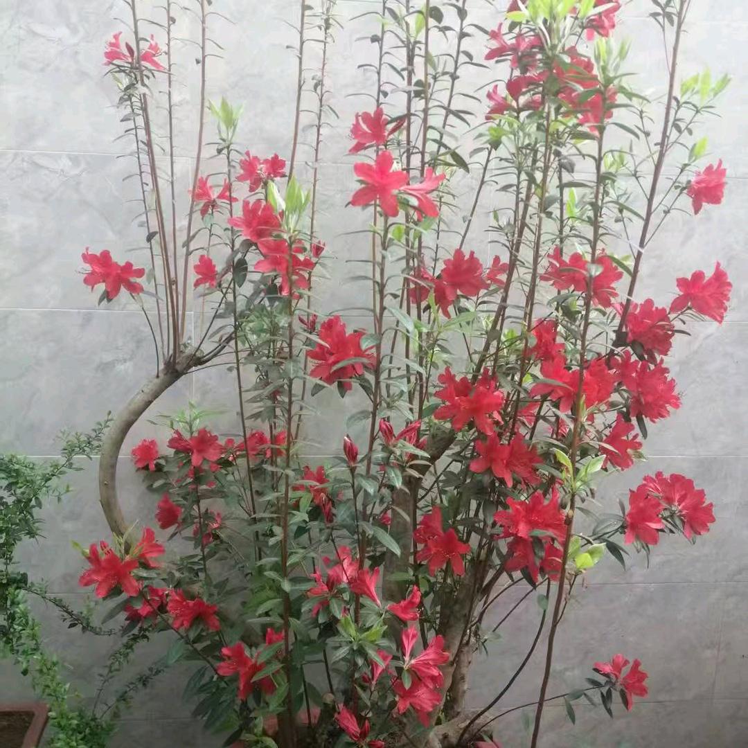 风雨中同行