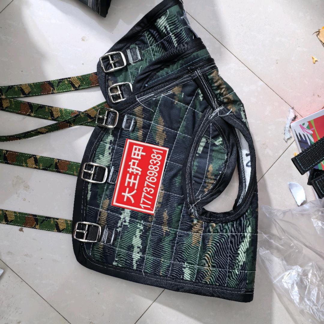 大王护甲（定做）