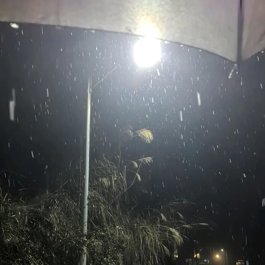 下雨天要打伞
