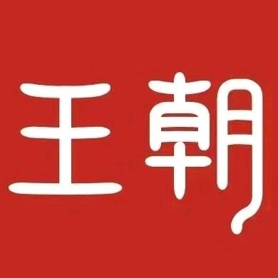 比卡丘丘