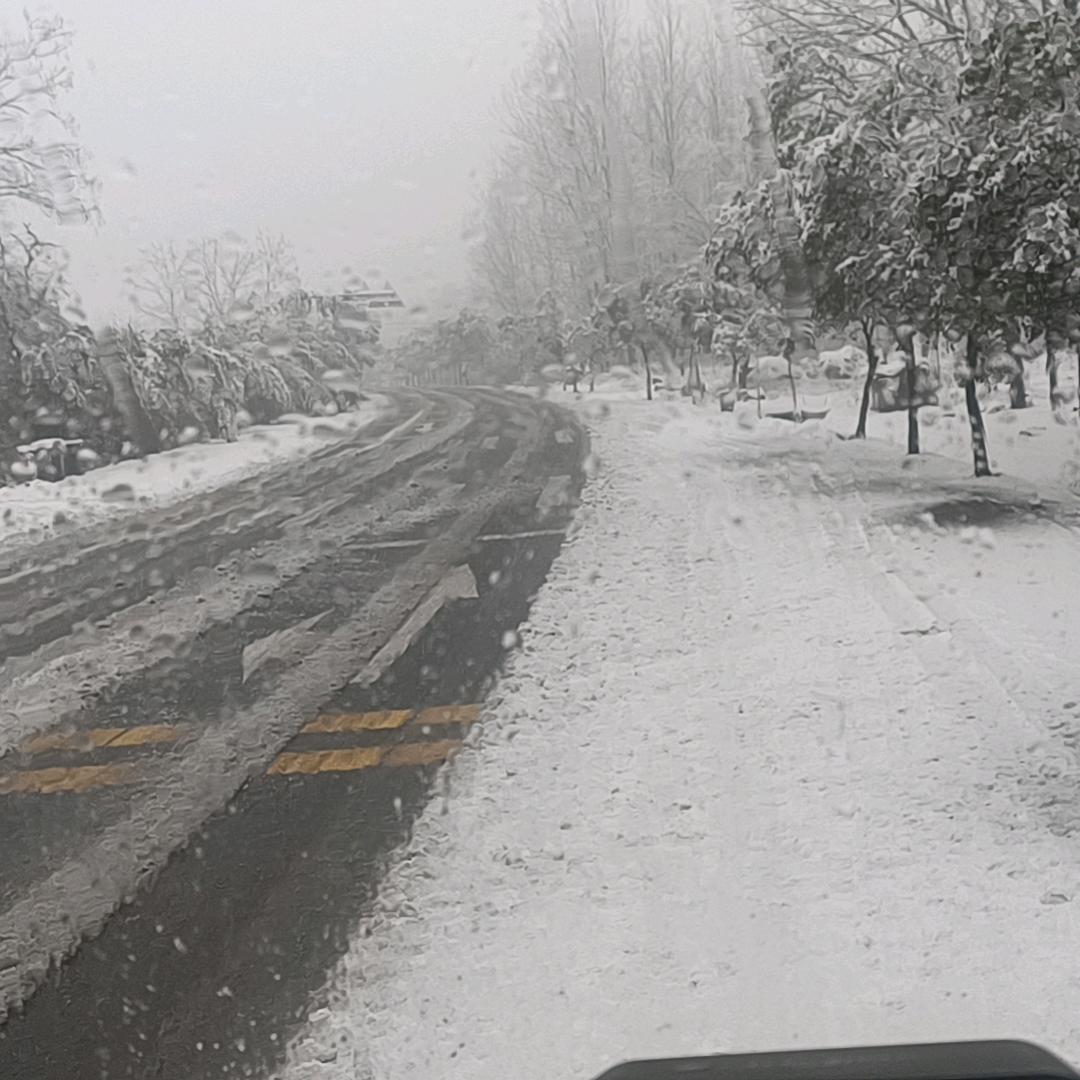 阿枫