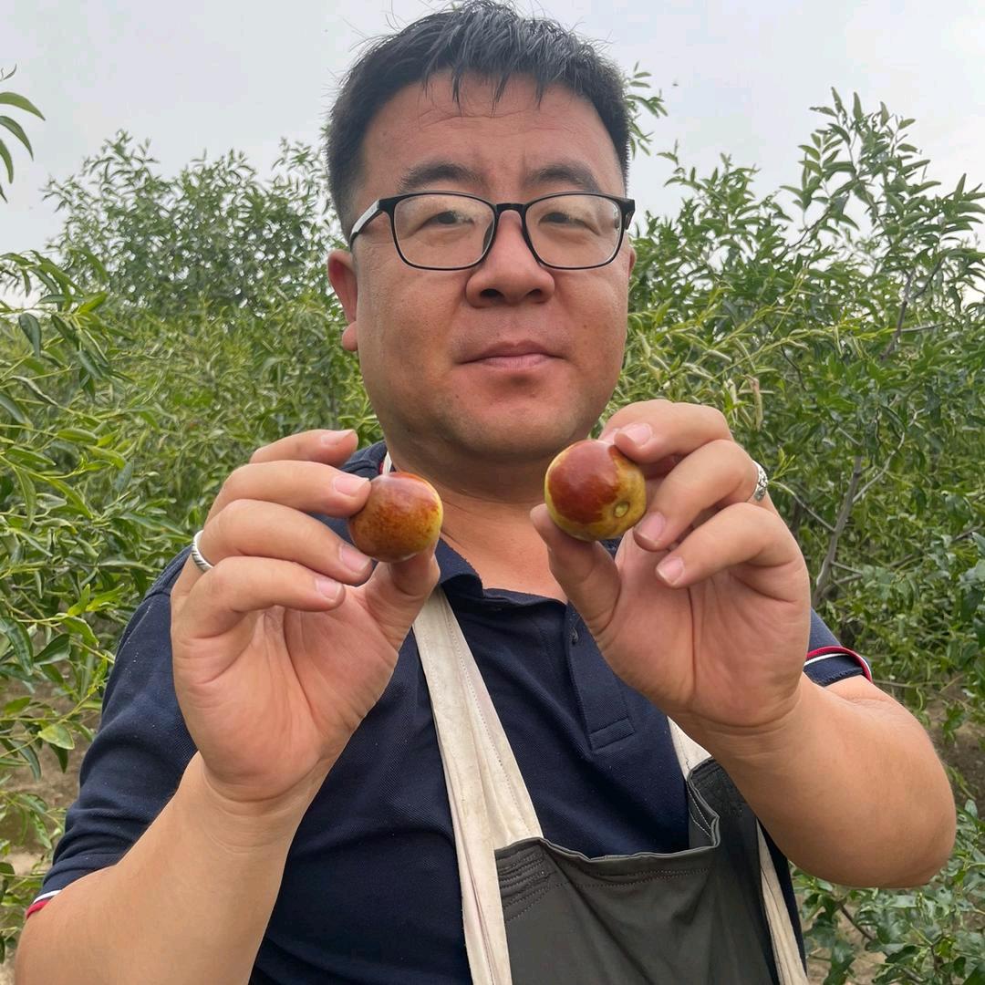 小两口沾化冬枣