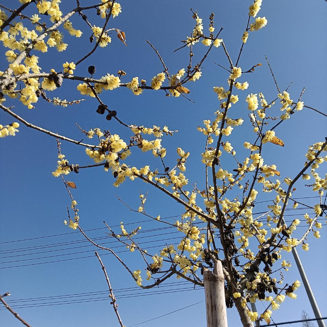 丨`＇丨: