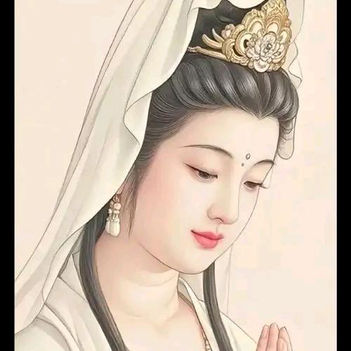菩萨转世入凡间（橱窗里🈶好物）