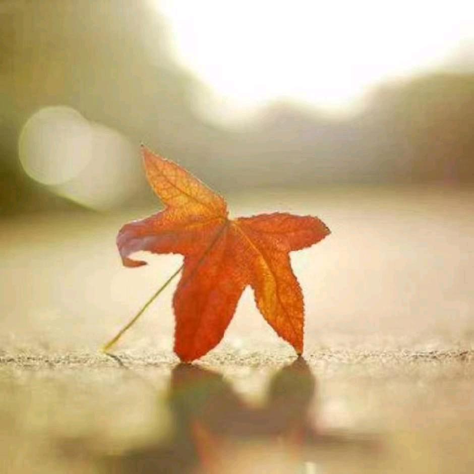 “”幸运儿”梁叶🍁