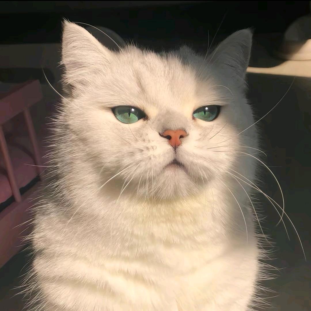 我乐意（ '▿ ' ）