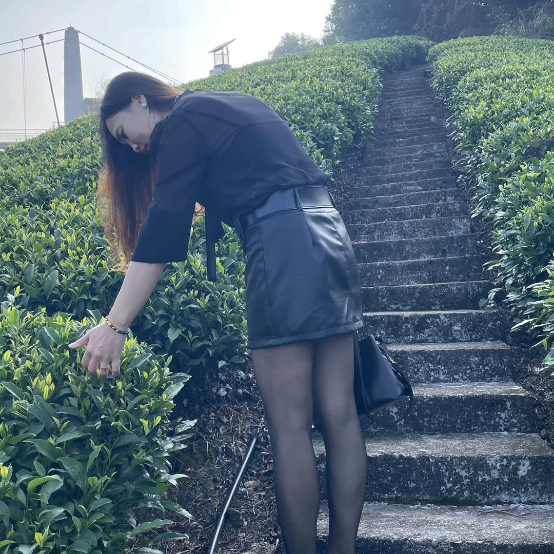 卖茶叶的秋秋