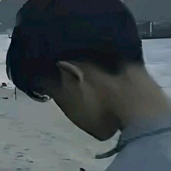 楊