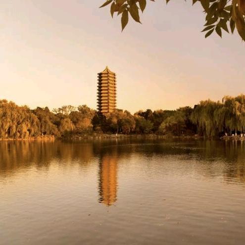 展望未来学习规划中心