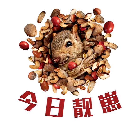 今日靓崽☞松鼠家园