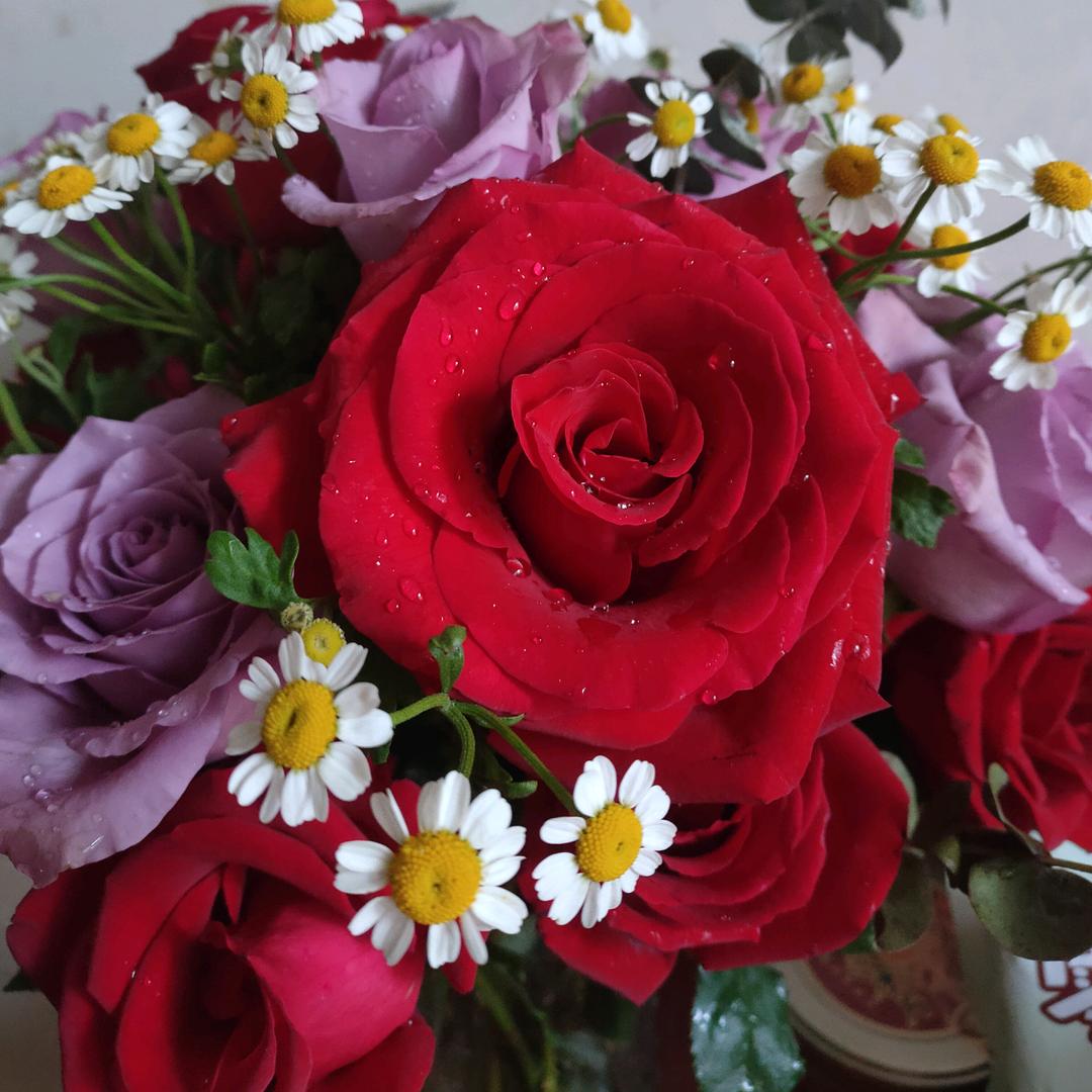 🌺余生✨有你💞