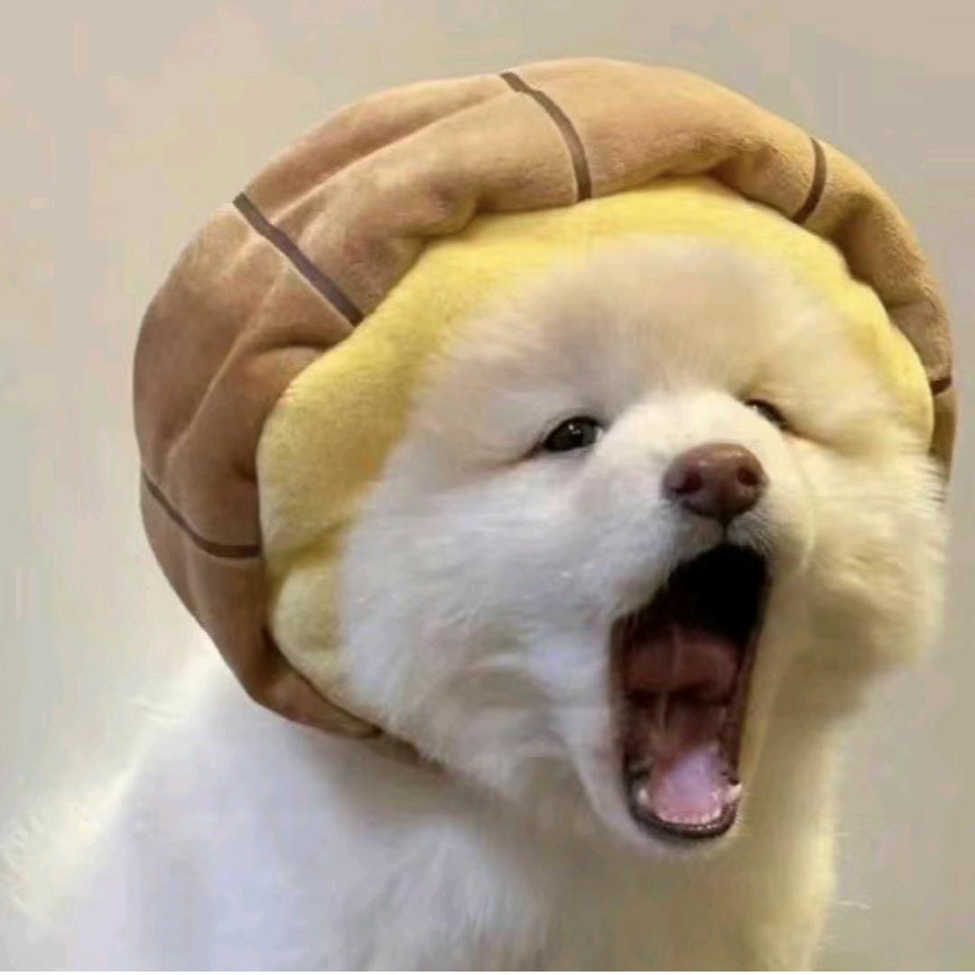 小小酥～