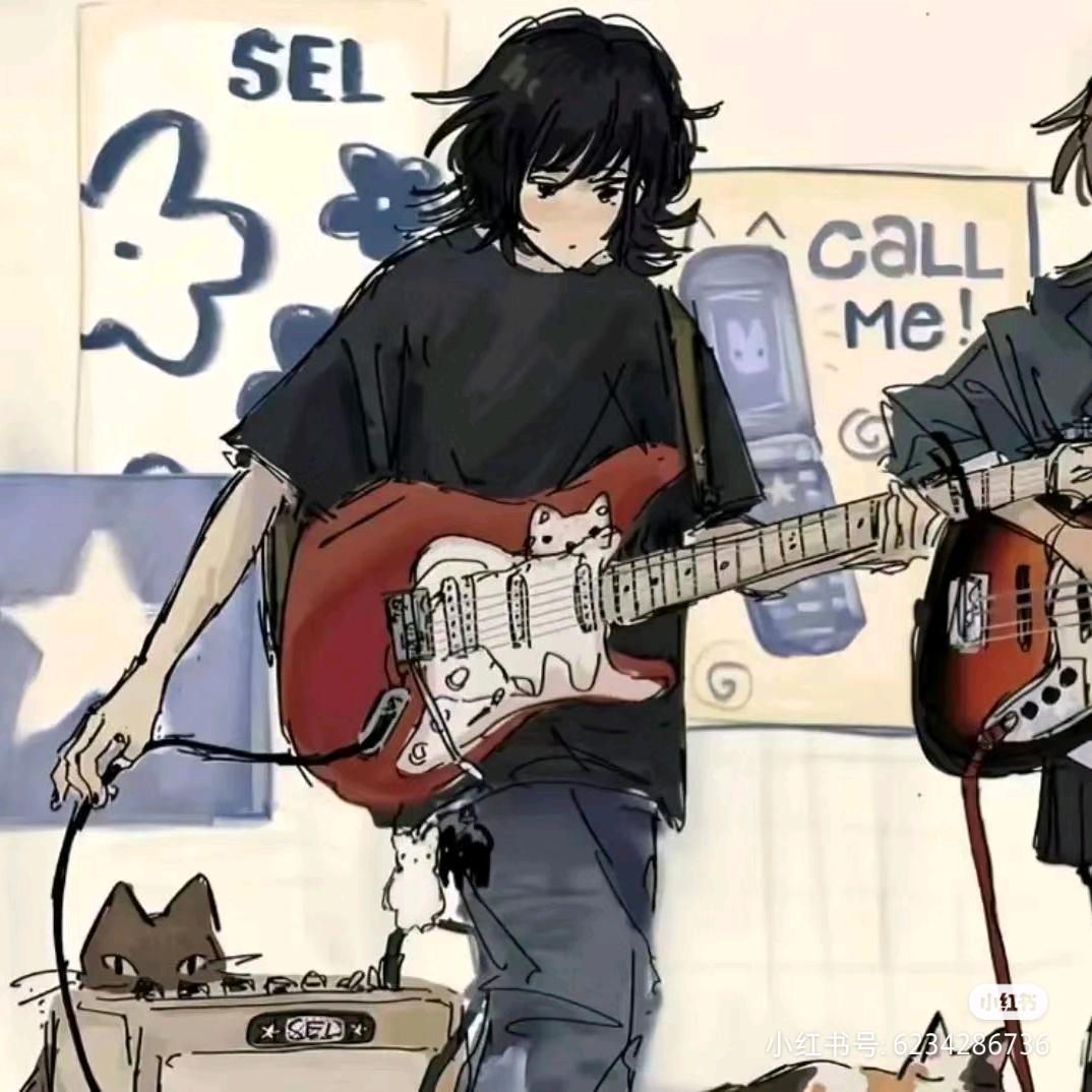 如果我会弹吉他