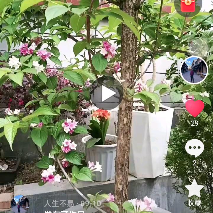 人生不易