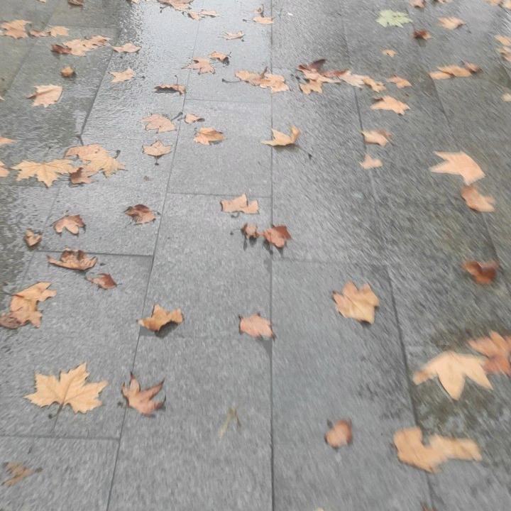 白衣卿相