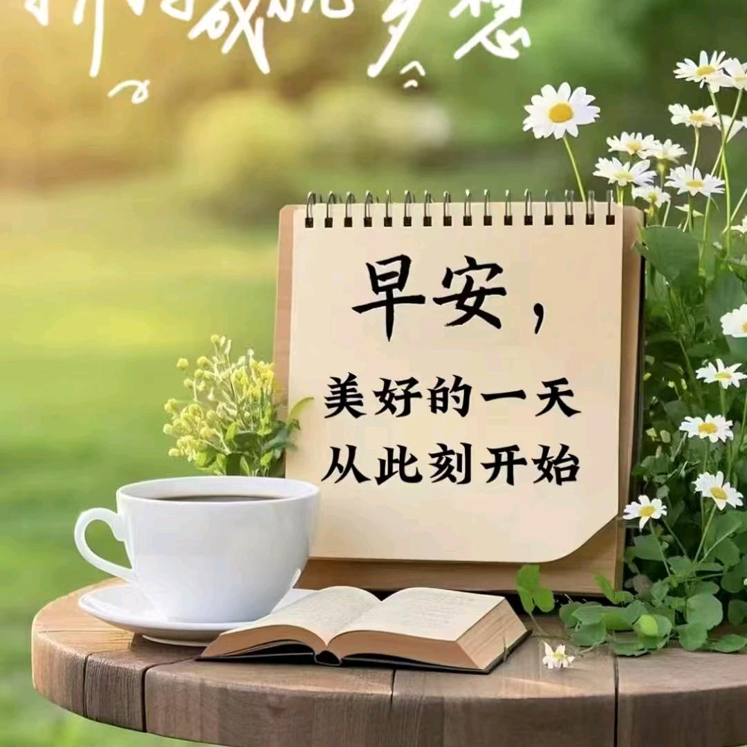 柴油生物基燃料~李先生