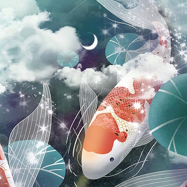 锦鲤。oO