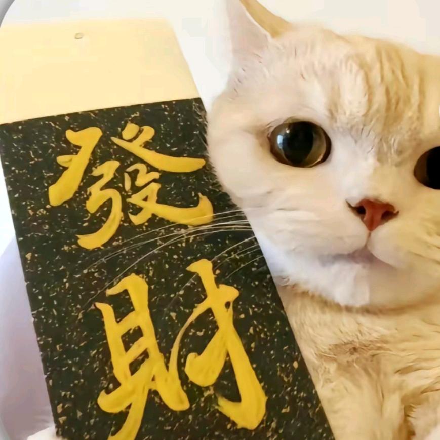 @ᝰ᭄🈶米: ᝰ᭄